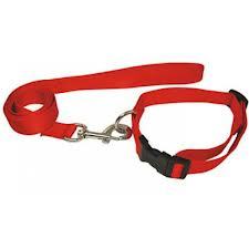 012013 LEASH & COLLAR NYLON SET RED