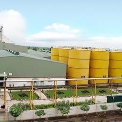 Oil Mill Expeller