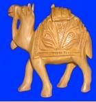 CAMEL CARVEN SPL