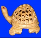 Tortoise Undersut