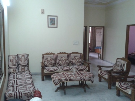 Cotton Sofa Covers