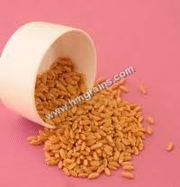 Rasmalai wheat