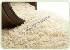 kolam Rice