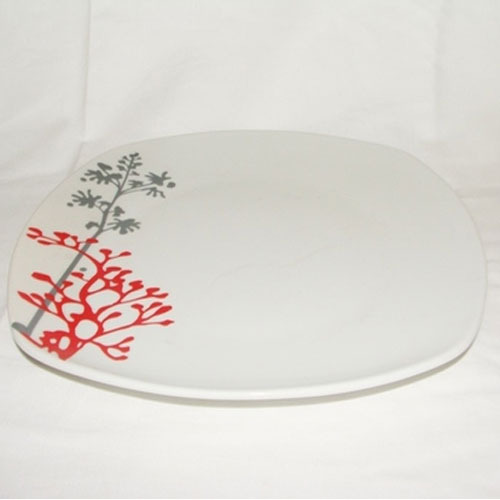 Ceramic Plate