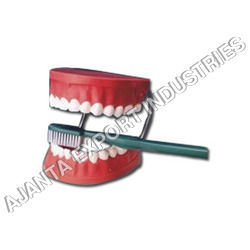 Dental Care Model