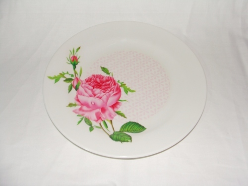 Melamine Plate