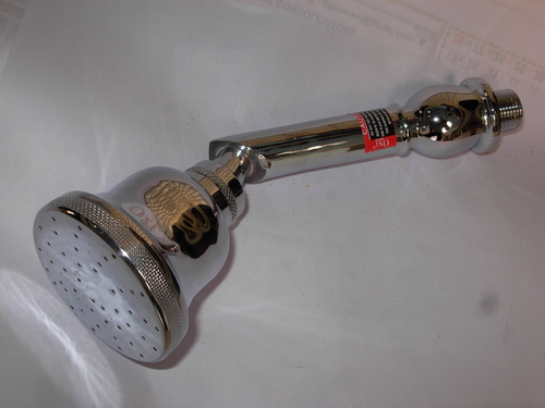 Brass bend Shower