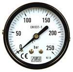 Standard Pressure Gauge