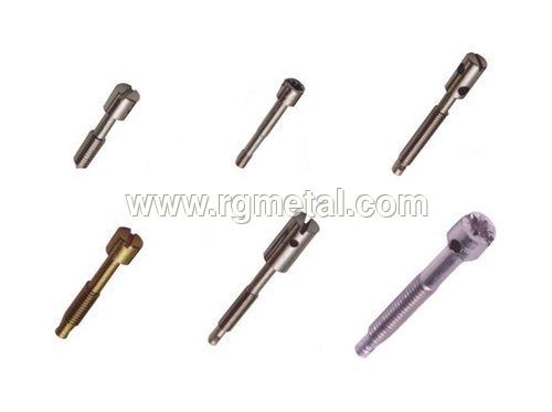 Brass Sealing Screws