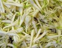 Rajnigandha Attar - Chemical Name: Herbal Extract