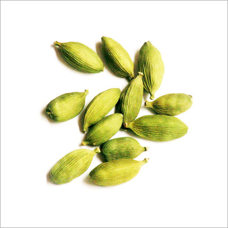 Large Cardamom