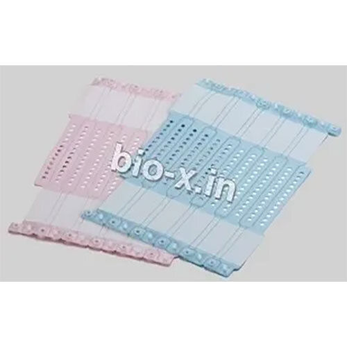 Pediatric Id Band - Color: Blue /Pink