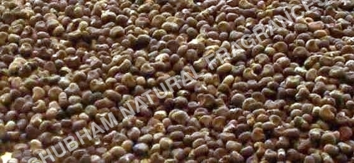 AMBRETTE SEED OIL