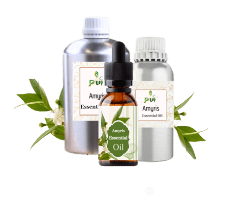 AMYRIS  Essential OIL