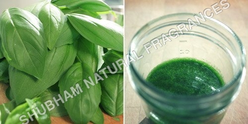 Basil Oil 