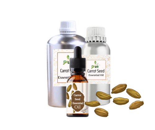 Carrot Seeds Oil