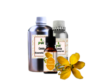 Cassia oil