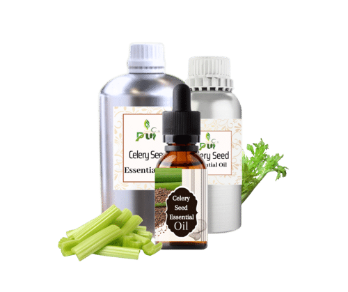 Celery Seed Oil