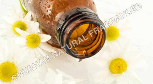 Chamomile (Roman) Oil 