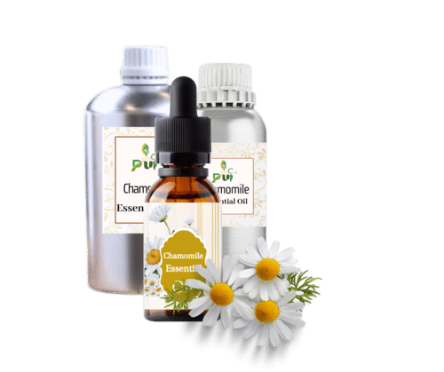 Chamomile (Roman) Oil