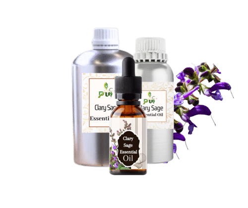 Clary Sage Oil