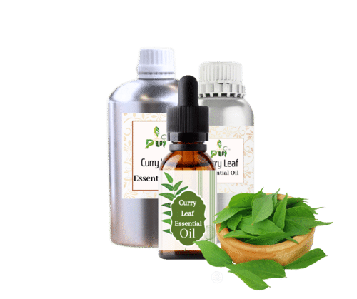 Curry Leaf Oil