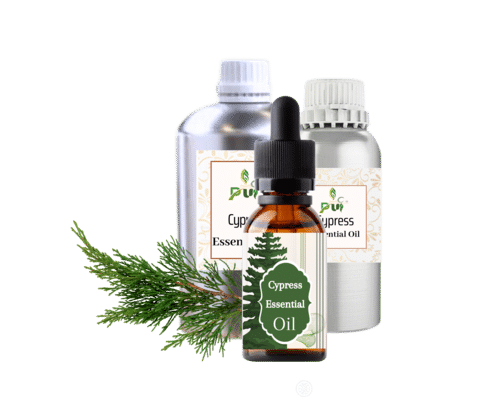 Cypress Oil