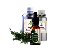 Cypress Oil