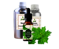 Davana Oil - 100% Natural Essential Oil, Brownish Color With Tealike Fruity Odor | 98% Purity, Shelf Life 24 Years, Ideal For Perfumes & Cosmetics