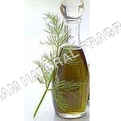 Dill Seed Oil