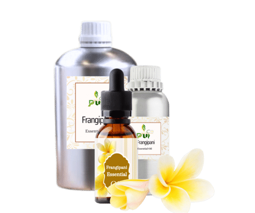 Frangipani Essential Oil