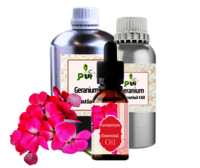 Geranium Oil
