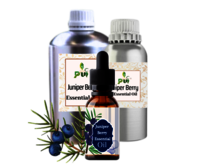 Juniper Berry Oil - 100% Pure Essential Oil, 98% Purity, Clear To Very Pale Yellow Liquid, Balsamic Woody Aroma, 24-year Shelf Life, Aromatherapy Use
