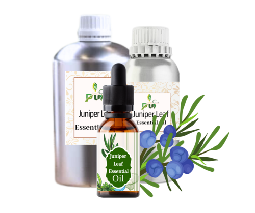 Juniper Leaf Oil - Steam Distilled, Colorless to Pale Yellow Liquid | 98% Purity, Insoluble in Water, Suitable for All Age Groups, 24-Year Shelf Life