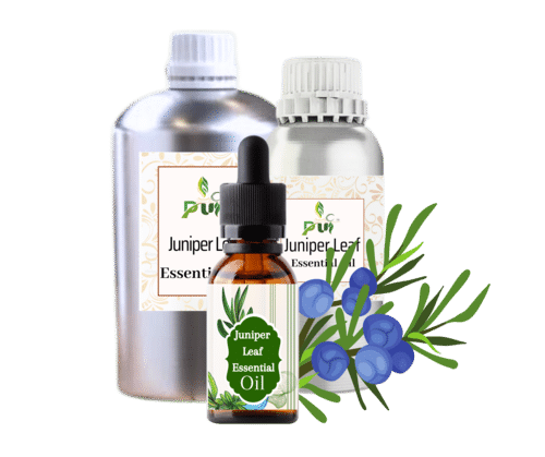 Juniper leaf oil