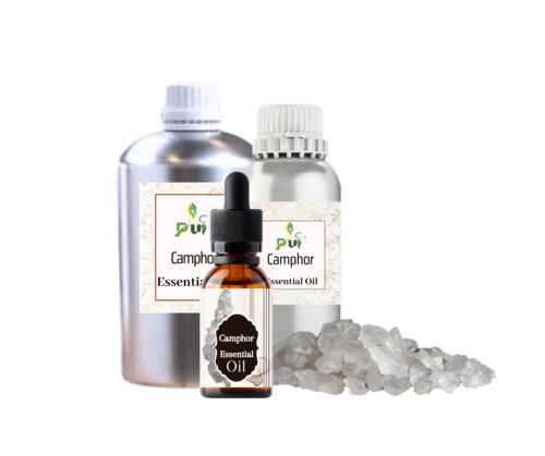 Kapoor Kacheri Oil - Purity: 98%