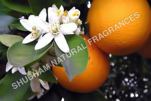 Neroli Oil 