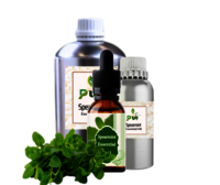 Spearmint Oil