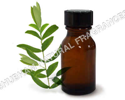Tea Tree Oil 