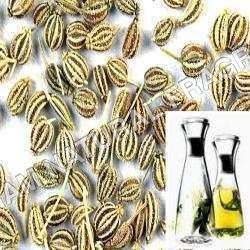 Ajwain Oil