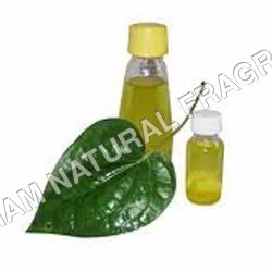 Betel Leaf Oil 