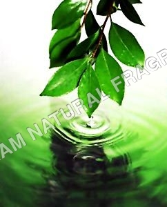 Neem Oil - Age Group: All Age Group
