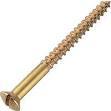 Wood Screw