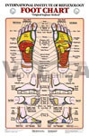 Foot Reflexology Anatomical Charts