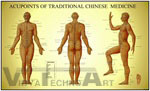 Traditional Chinese Medicine Chart
