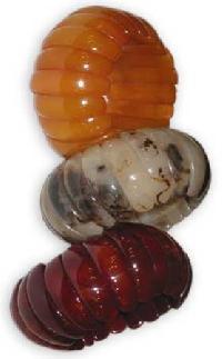 resin-bracelets-15393[1]