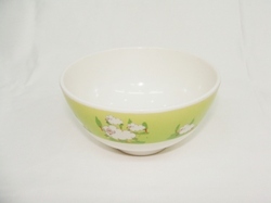 Melamine Bowl