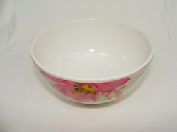 Melamine Bowl