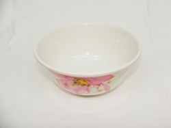 Melamine Bowl