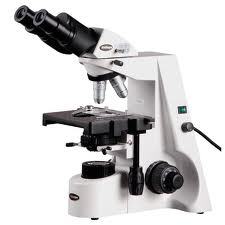 Binocular Compound Microscope By NATIONAL ANALYTICAL CORPORATION